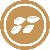 Sésamo